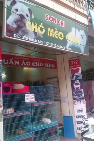 Cửa Hàng Chó Mèo Cảnh: Lựa Chọn Thông Thái Và Trách Nhiệm Bảo Tồn