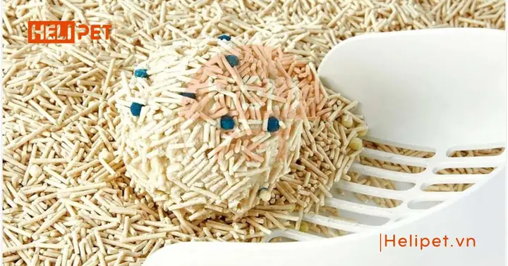 Cát Phát Hiện Máu Petkit Occult Blood Test Cat Litter