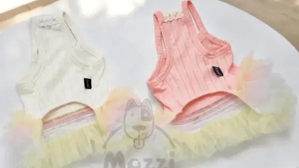 Phân Loại Quần Áo Chó Mèo Theo Mục Đích Sử Dụng