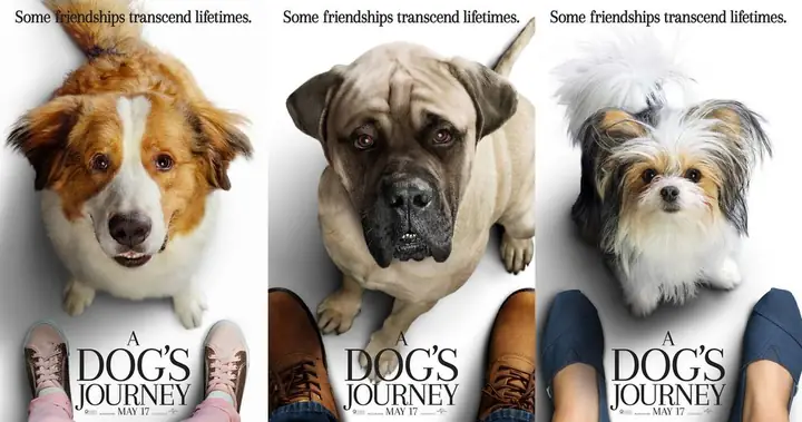 Chút Cảm Nhận Về "mục Đích Sống Của Một Chú Chó" (a Dog's Purpose & A Dog's Journey)