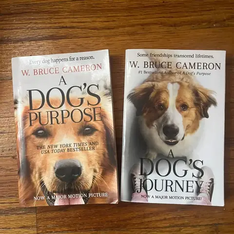 Chút Cảm Nhận Về "mục Đích Sống Của Một Chú Chó" (a Dog's Purpose & A Dog's Journey)