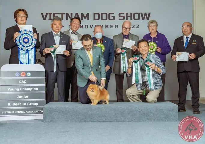 Cuộc Thi Chó Đẹp Hàng Đầu Việt Nam Quy Tụ Nhiều Giống Chó Quý