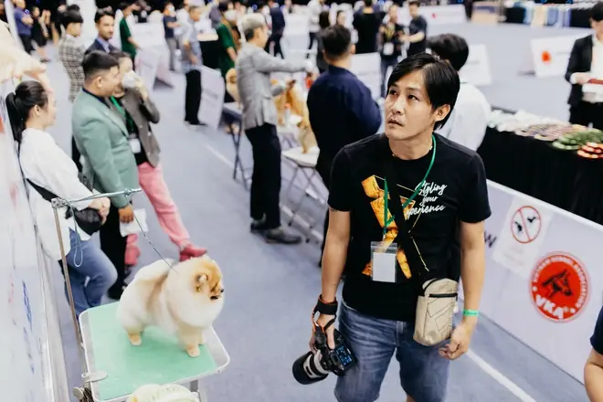 Cuộc Thi Chó Đẹp Hàng Đầu Việt Nam Quy Tụ Nhiều Giống Chó Quý