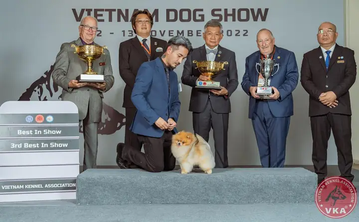 Cuộc Thi Chó Đẹp Hàng Đầu Việt Nam Quy Tụ Nhiều Giống Chó Quý