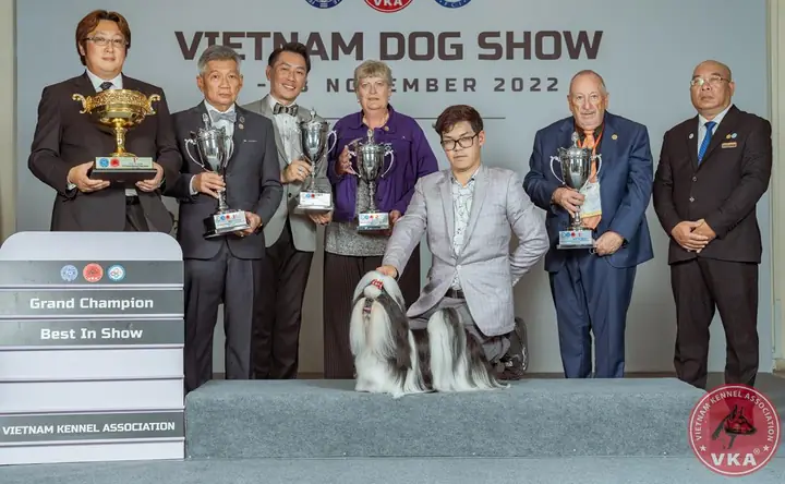 Cuộc Thi Chó Đẹp Hàng Đầu Việt Nam Quy Tụ Nhiều Giống Chó Quý