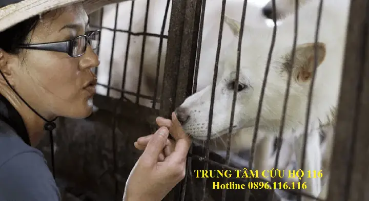 Trạm Cứu Hộ Động Vật Hoang Dã Hòn Me Trạm Cứu Hộ Động Vật Hoang Dã Hòn Me