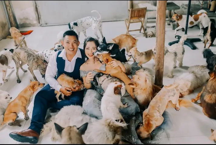 Saigon Time - Mái Ấm Yên Bình Của Những Thú Cưng Bị Bỏ Rơi - Ảnh 3.