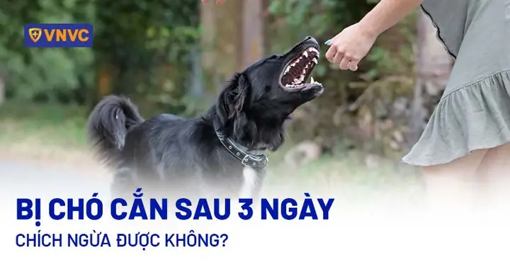 Tình Trạng Sức Khỏe Tổng Quát: Tình Trạng Sức Khỏe Tổng Quát: