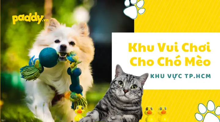 Dắt Chó Đi Chơi Ở Đâu