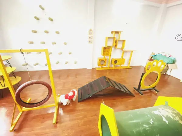 Khu Vui Chơi Chó Mèo B-bob