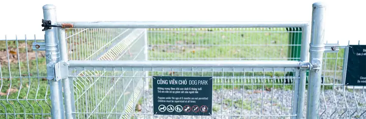 Khám Phá Bên Trong Công Viên Thú Cưng Đầu Tiên Ở Hà Nội