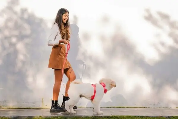 Sử Dụng Kỹ Thuật Dừng Và Đi