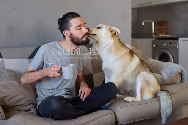 Đặt Tên Cho Cún Theo Đặc Điểm Tính Cách