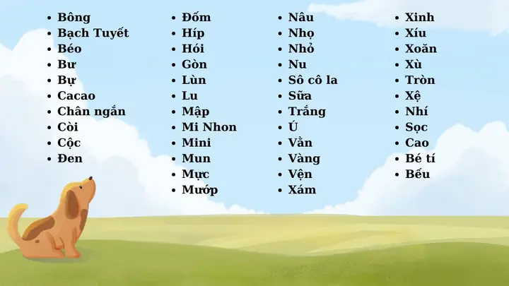 Đặt Tên Chó Mèo Dựa Vào Ngoại Hình