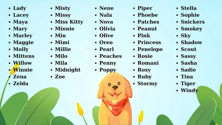 Đặt Tên Chó Mèo Đực 2