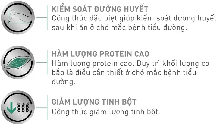 Dấu Hiệu Chó Bị Tiểu Đường