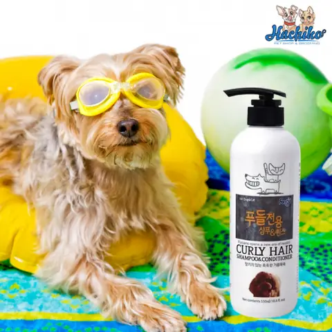 Hướng Dẫn Chọn Dầu Xả Cho Chó Poodle Mềm Mượt, Không Rối