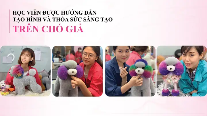 Khóa Học Cắt Tỉa Lông Cho Thú Cưng (grooming) Tại Học Viện Dogparadise