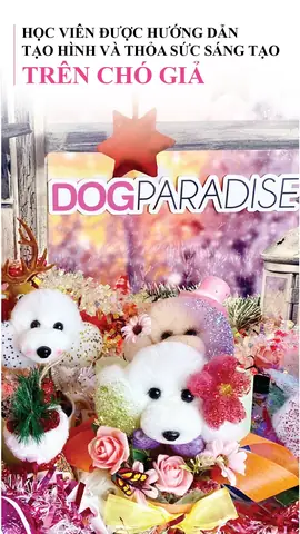 Khóa Học Cắt Tỉa Lông Cho Thú Cưng (grooming) Tại Học Viện Dogparadise