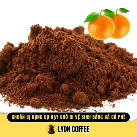 Chuẩn Bị Dụng Cụ Huấn Luyện Dạy Chó Đi Vệ Sinh Bằng Bã Cà Phê