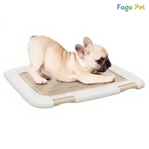 Cách Dạy Chó Đi Vệ Sinh Vào Cát