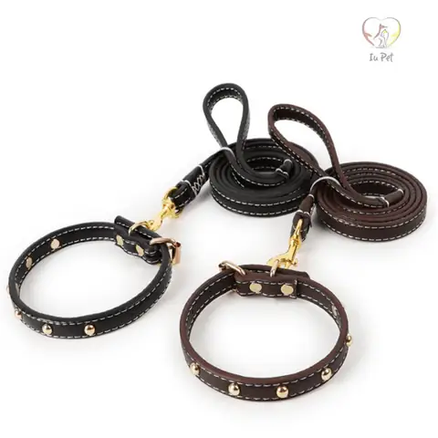 Dây Dắt Chó Bằng Da: Hướng Dẫn Chọn Mua Và Sử Dụng An Toàn, Hiệu Quả