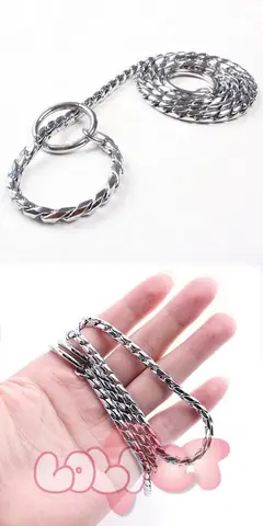 Hướng Dẫn Toàn Diện Về Cách Chọn Dây Dắt Chó Đi Show Chuyên Nghiệp