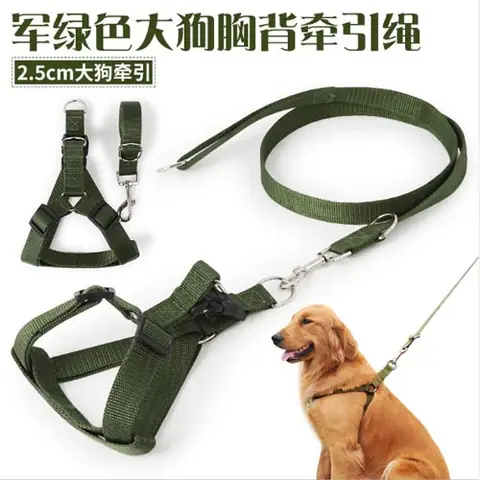 Dây Xích Chó Giá Rẻ: Hướng Dẫn Chọn Mua An Toàn, Phù Hợp Và Tiết Kiệm