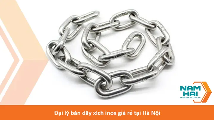 Dây Xích Chó Giá Rẻ: Hướng Dẫn Chọn Mua An Toàn, Phù Hợp Và Tiết Kiệm