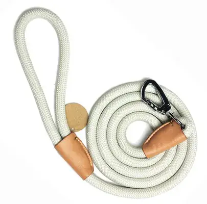 Dây Xích Huấn Luyện Chó: Hướng Dẫn Chọn Mua Và Sử Dụng An Toàn, Hiệu Quả