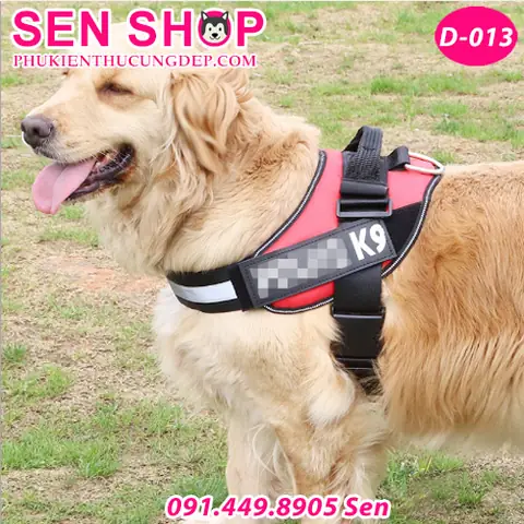 Xem Hình Ảnh Chi Tiết Đai Yếm Dắt Chó Police