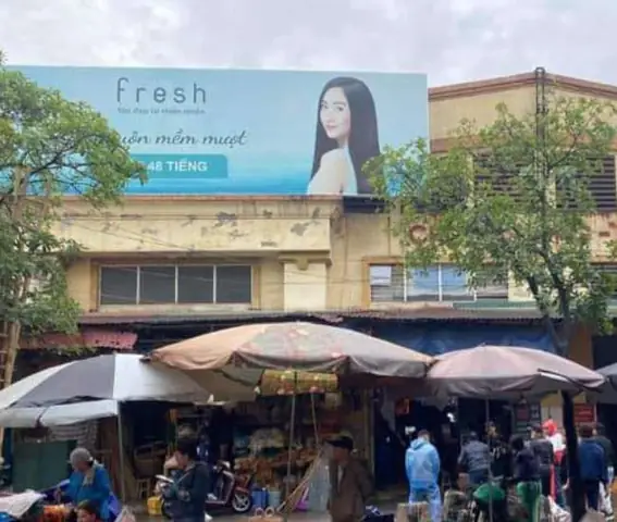 Địa Chỉ Chợ Chó Mèo Hà Đông: Cẩm Nang Toàn Diện Cho Tín Đồ Thú Cưng