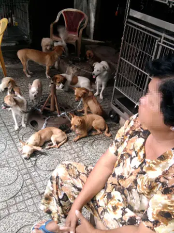 Địa Chỉ Chợ Chó Lê Hồng Phong