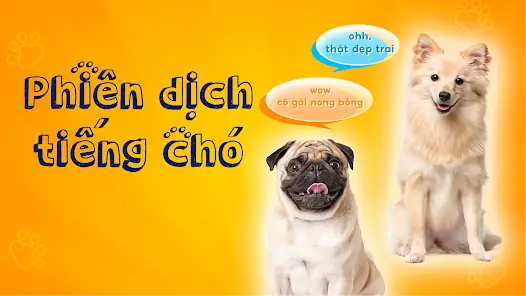 Dịch Tiếng Chó Sang Tiếng Việt: Hiểu Ngôn Ngữ Cơ Thể & Âm Thanh Của Chó