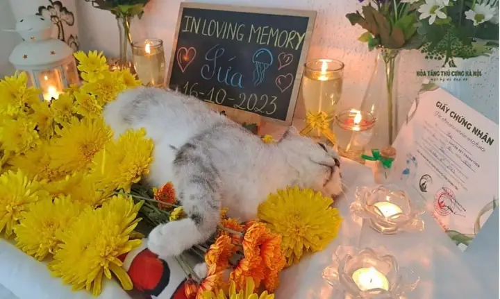 Nghi Lễ Thực Hiện Hoả Táng Trọn Vẹn Nghi Lễ Thực Hiện Hoả Táng Trọn Vẹn