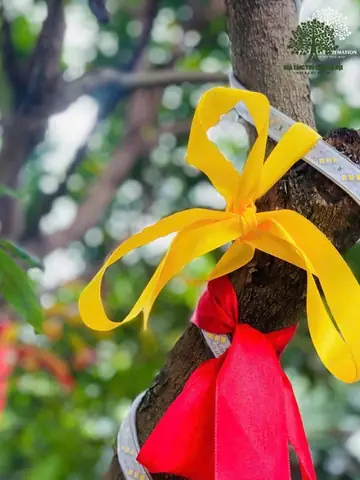 Đa Dạng Phương Thức Hoả Táng Đa Dạng Phương Thức Hoả Táng