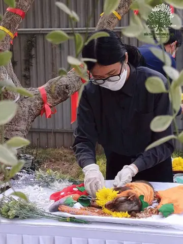 Quy Trình An Táng Thú Cưng Tại Hà Nội Quy Trình An Táng Thú Cưng Tại Hà Nội