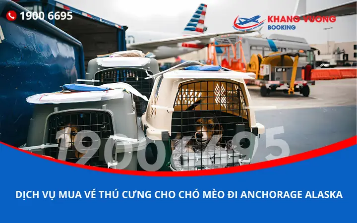 Dịch Vụ Bắt Ve Chó: Hướng Dẫn Toàn Diện Để Bảo Vệ Sức Khỏe Vật Nuôi