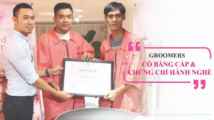Dịch Vụ Grooming Cắt Tỉa Lông Chó Mèo