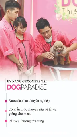 Dịch Vụ Grooming Cắt Tỉa Lông Chó Mèo