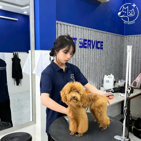 Pet Service – Dịch Vụ Trông Giữ Chó Mèo