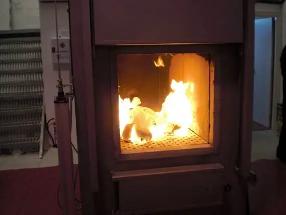 Dịch Vụ Mai Táng Chó Mèo: Quy Trình, Chi Phí Và Những Điều Cần Biết