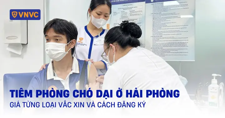 Tiêm Phòng Chó Dại Ở Hải Phòng