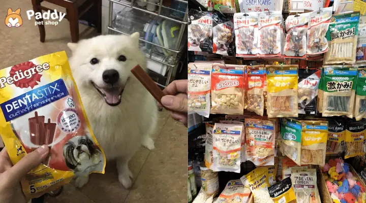 Cách Huấn Luyện Chó Bằng Snack Hiệu Quả, Có Thể Áp Dụng Ngay