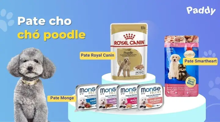 Thứcăn Pate Cho Chó Poodle
