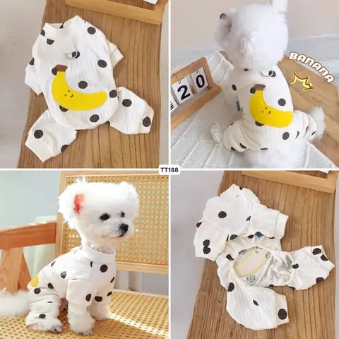 Đồ Cho Chó Đi Vệ Sinh: Hướng Dẫn Chi Tiết Từ A-z Cho Người Nuôi Thú