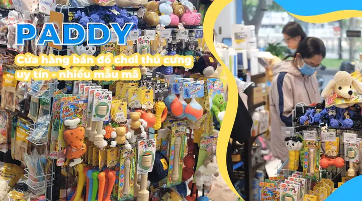 Địa Chỉ Mua Đồ Chơi Cho Chó Uy Tín, Giá Tốt