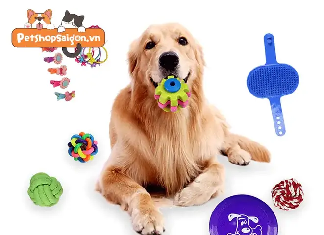 Đồ Chơi Cho Chó Con: Hướng Dẫn Chọn Lựa Và Sử Dụng An Toàn, Hiệu Quả