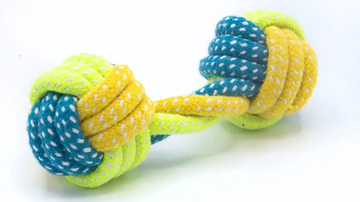 Dây Thừng Kéo Co