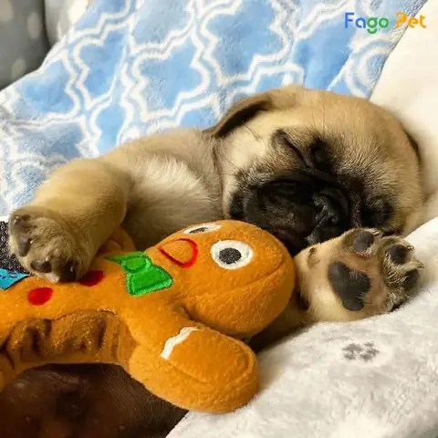 Ưu Điểm Và Lợi Ích Khi Sử Dụng Đồ Chơi Cho Chó Pug